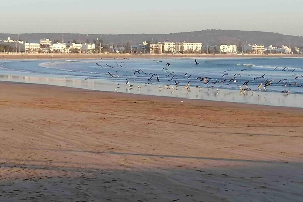Darsal-Bwindi, Pour Tomber Amoureux D'Essaouira ! Villa Екстериор снимка