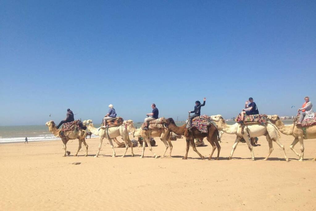 Darsal-Bwindi, Pour Tomber Amoureux D'Essaouira ! Villa Екстериор снимка